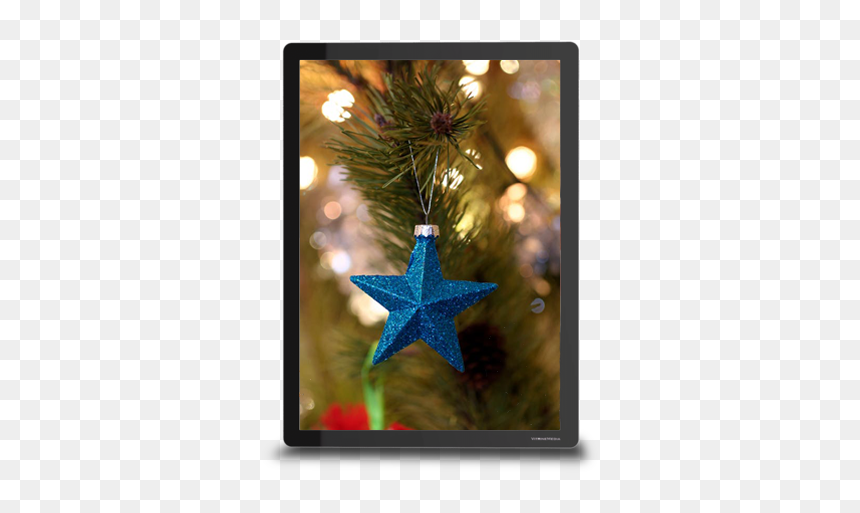 Blue Star - Christmas Day, HD Png Download - christmas lights .png