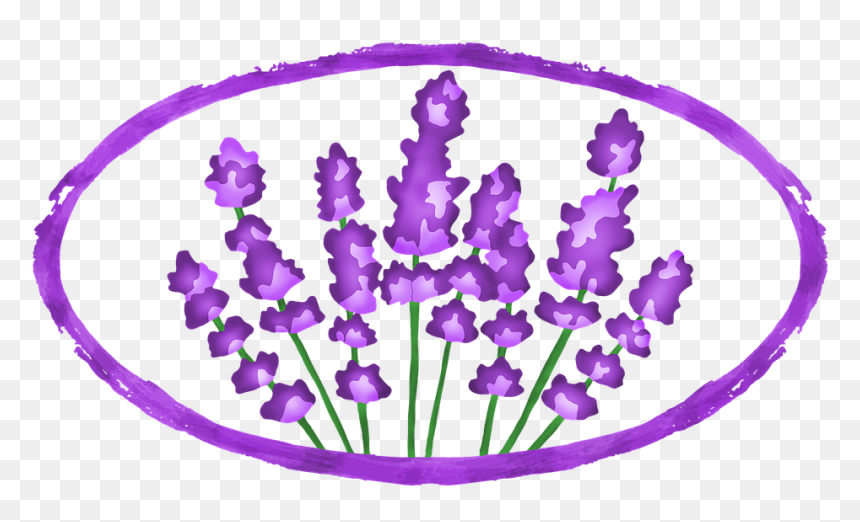 Lavender Flowers Png, Transparent Png - lavender flowers png