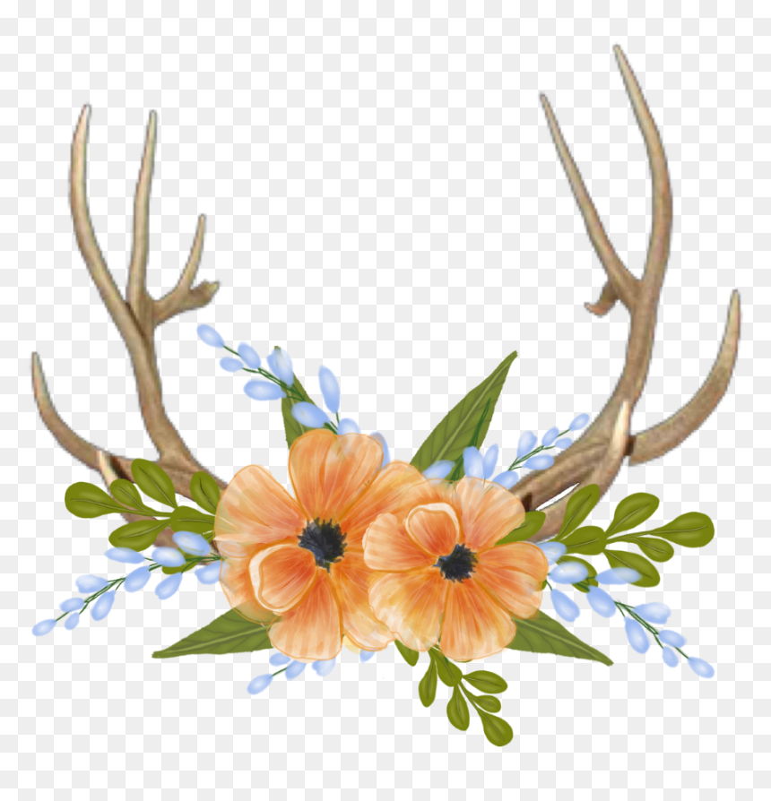 Deer Horns Png , Png Download - Portable Network Graphics, Transparent Png - deer horns png