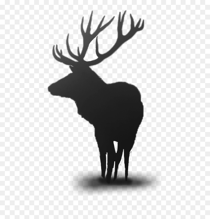 #deer #horns #horn #animals #animallover #png #dailyremixchallenge - Elk Phone Background, Transparent Png - deer horns png