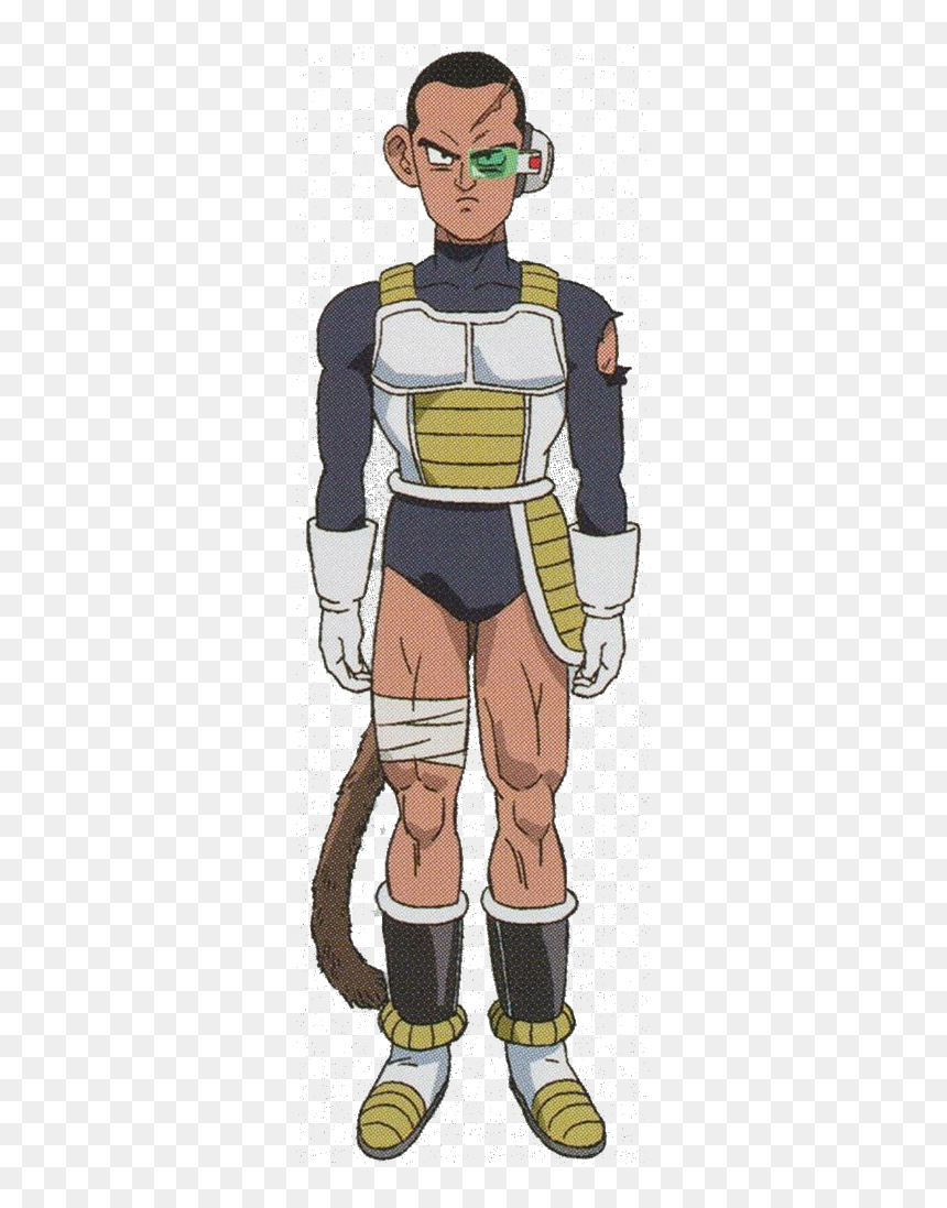 Https - //static - Tvtropes - Artwork 1 - Leek Dbs, HD Png Download - raditz png