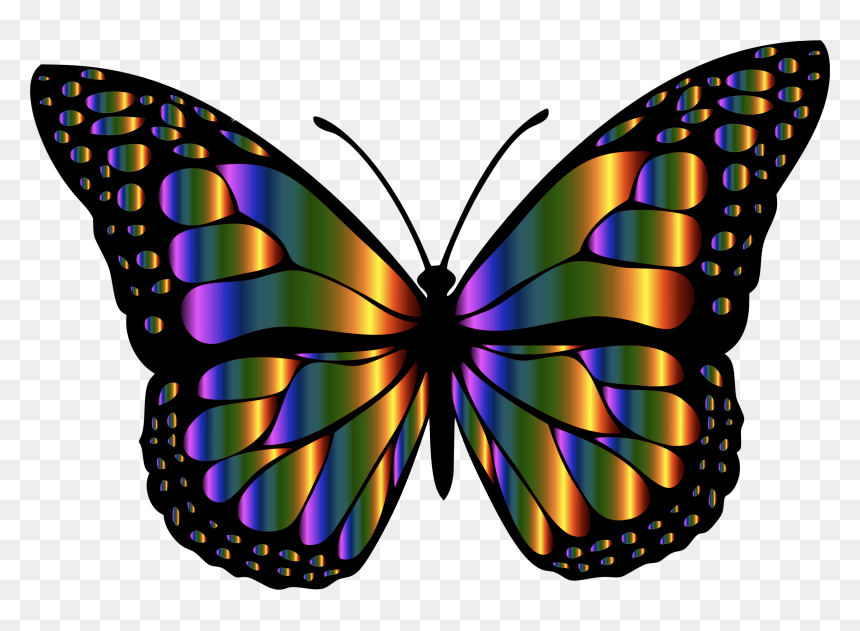 Monarch Butterfly 2 Variation 4 Clip Arts - Butterfly Clipart, HD Png Download - monarch png