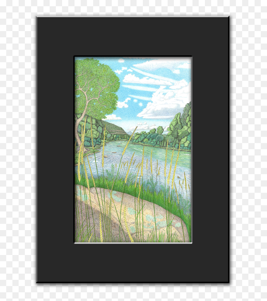 Printframe Wildgrass, HD Png Download - wild grass png