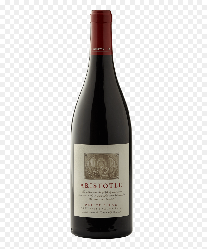 Aristotle Silhouette Nv Petitesirah Transp - Champagne, HD Png Download - aristotle png