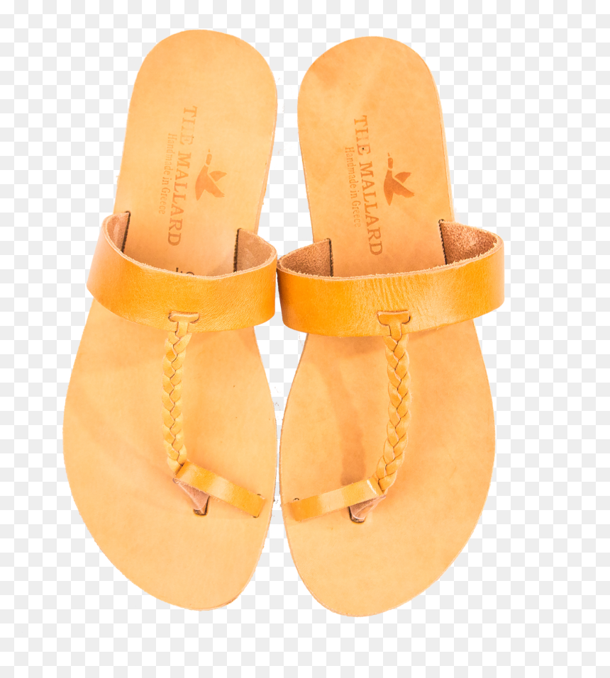 The Aristotle , Png Download - Flip-flops, Transparent Png - aristotle png
