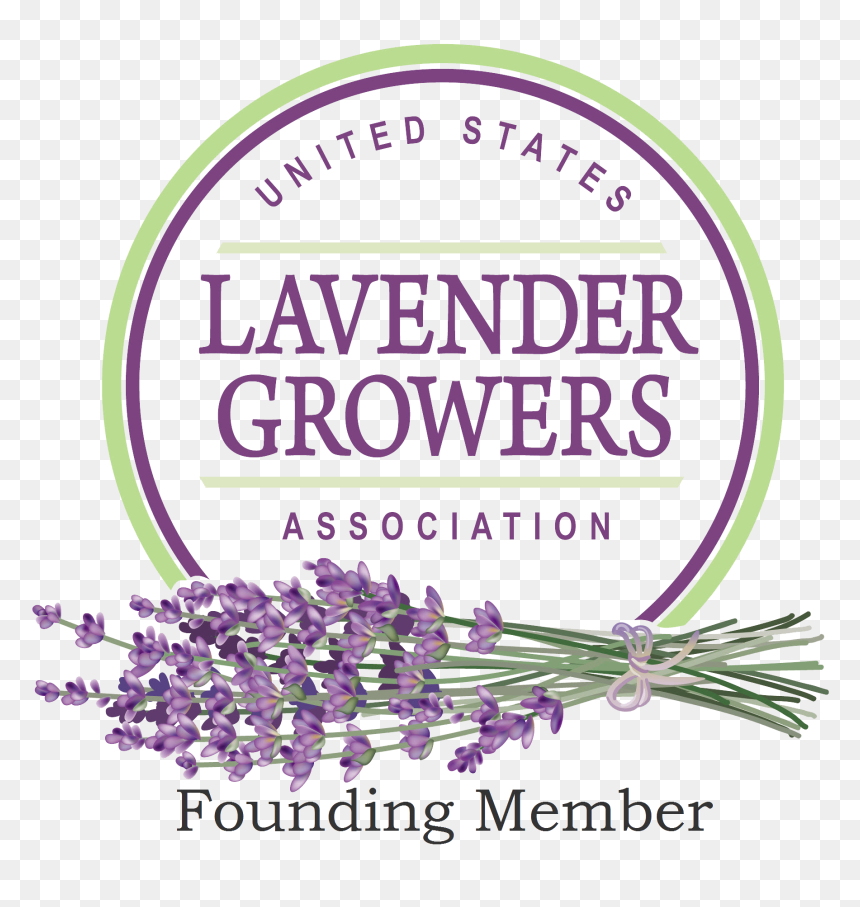 Us Lavender Growers Founding - Lavender Growers Association, HD Png Download - lavender flowers png