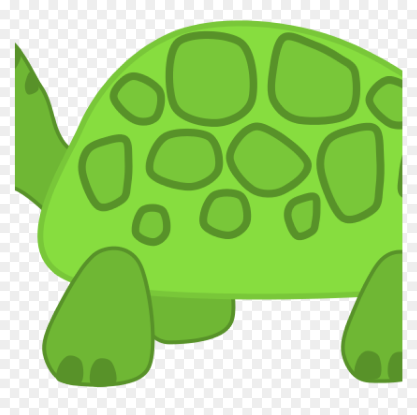 Turtle Images Clip Art Free Clipart Turtle Scout Science - Turtle Transparent Clip Art, HD Png Download - aristotle png