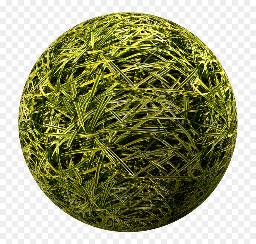 Grass, HD Png Download - wild grass png