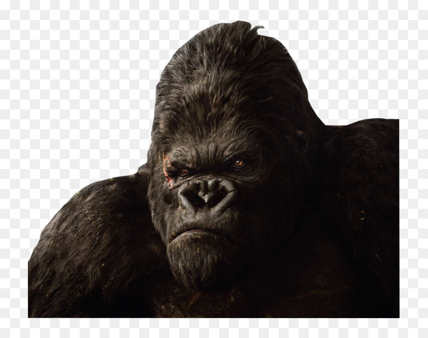 King Kong 2005 Kong, HD Png Download - kong png