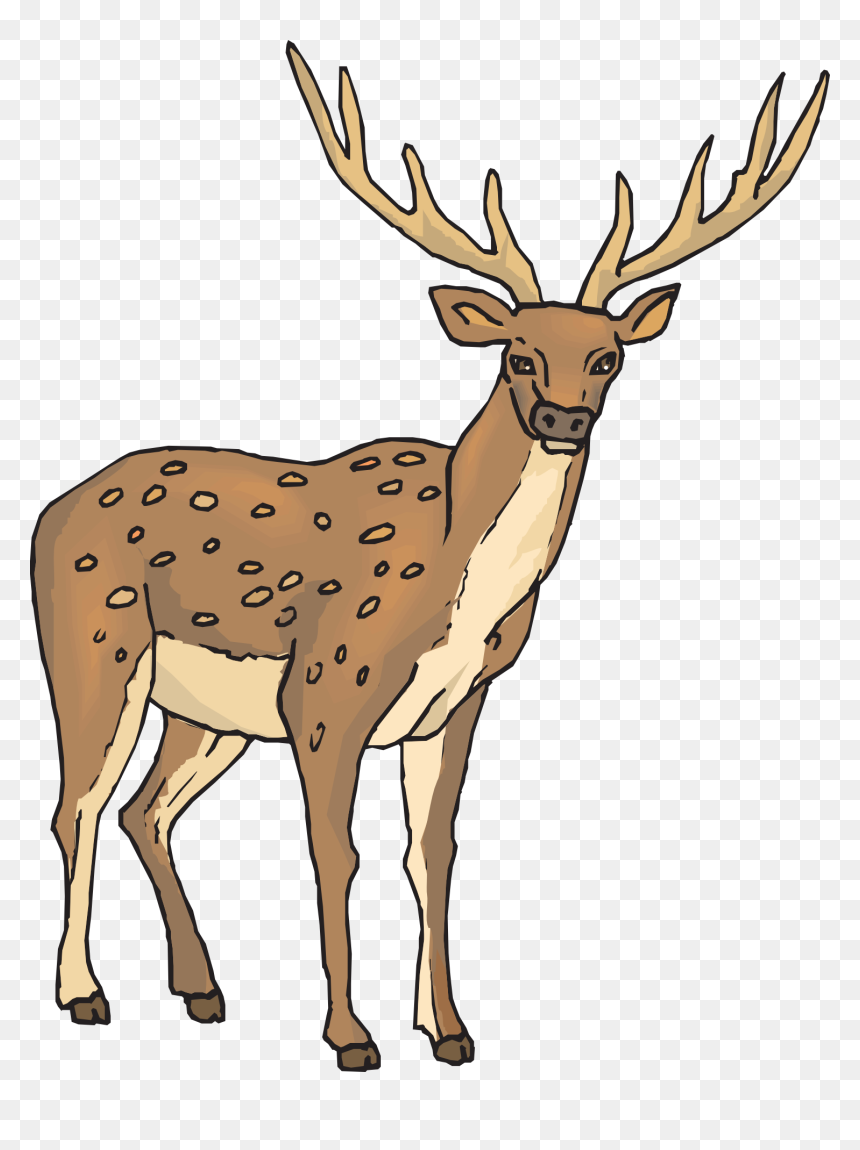 Clipart Deer, HD Png Download - deer horns png