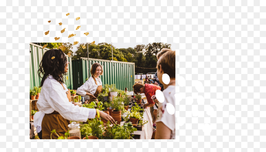 H S Homepage Banner, HD Png Download - flower banner png