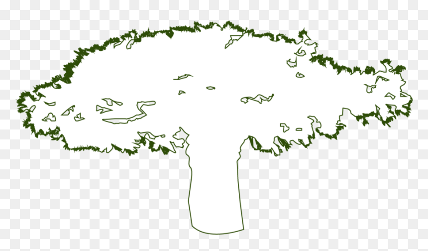 Why Fairwild Plants Outline, HD Png Download - wild grass png