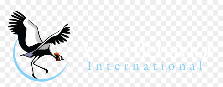 Dia Dos Pais Para Imprimir , Png Download - Illustration, Transparent Png - moldura dia dos pais png
