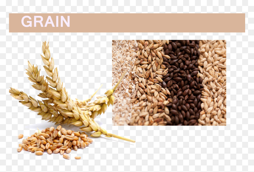 Grain Png Pic - Flour Made Out, Transparent Png - grains png