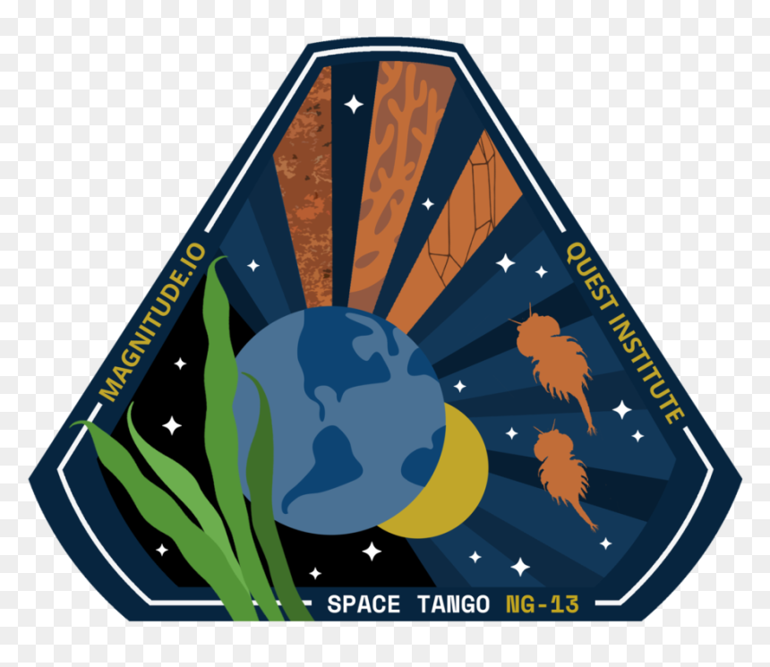 Illustration, HD Png Download - northrop grumman logo png