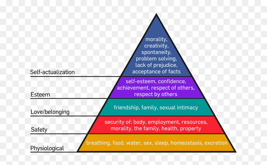 Maslow's Hierarchy Of Needs Activity, HD Png Download - aristotle png