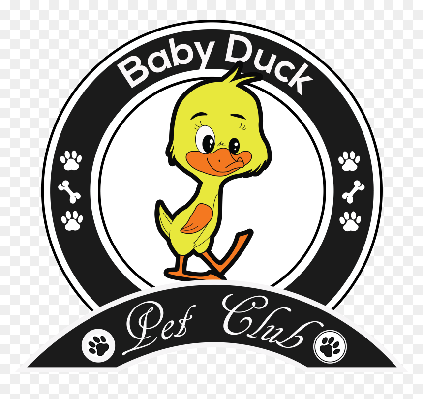 Clip Art, HD Png Download - baby duck png