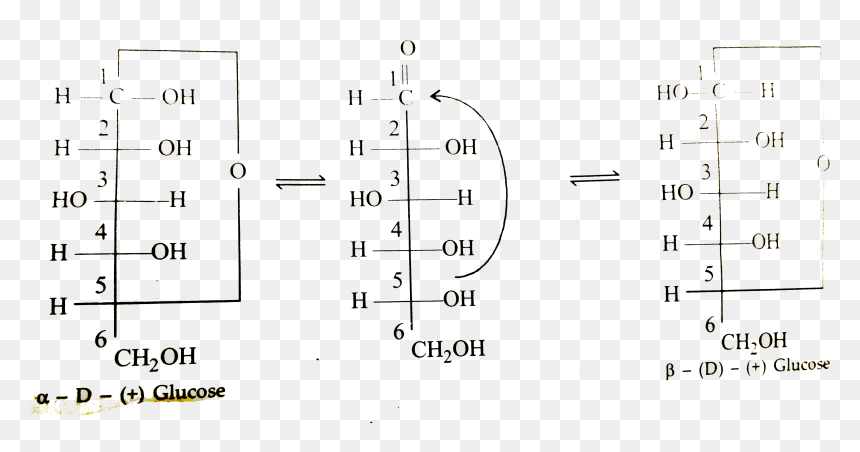 Crystalline Forms Of Glucose, HD Png Download - glucose png