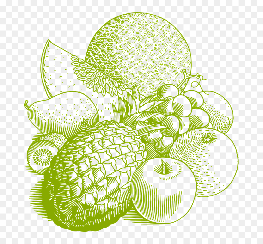 Fruits Fruits Lineart, HD Png Download - food vector png