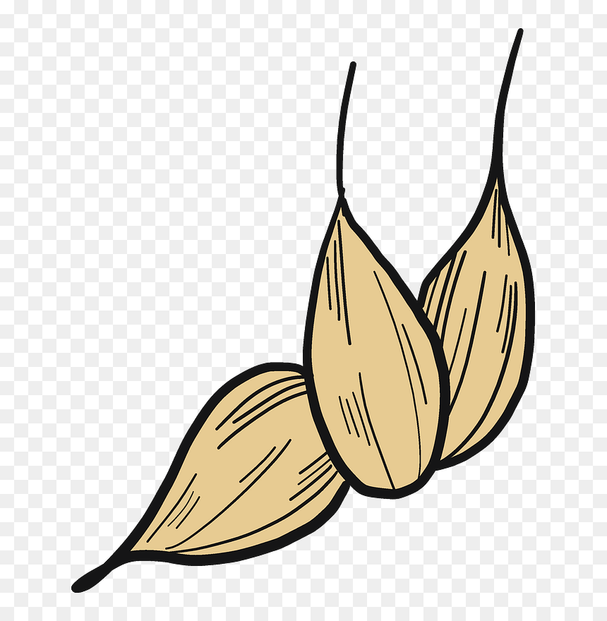 Wheat Grains Clipart, HD Png Download - grains png