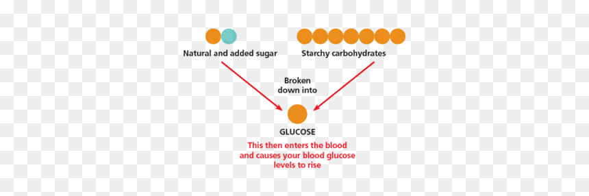 Sugar And Starch Both Increase Blood Sugar Levels - Carbohydrates Broken Into Glucose, HD Png Download - glucose png