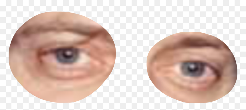 Close-up, HD Png Download - steve buscemi eyes png