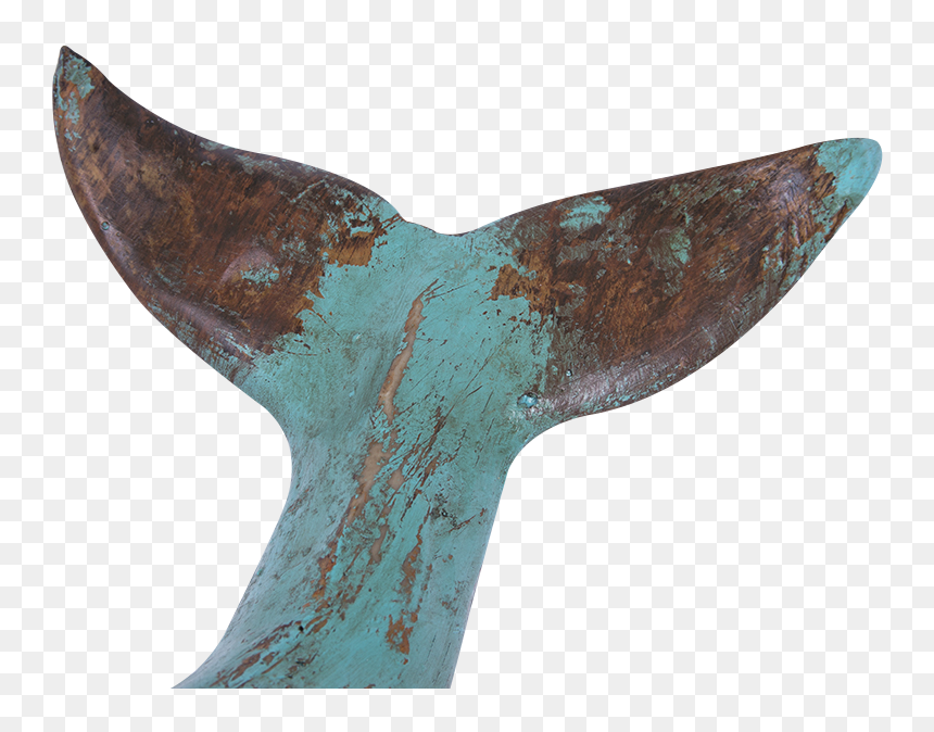 Large Sperm Whale With Base, Batela Uk - Sperm Whale, HD Png Download - sperm whale png