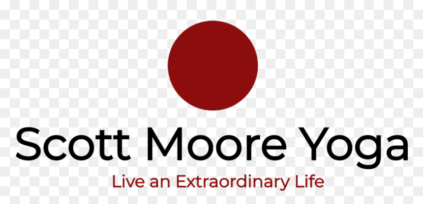 Lifetime Logo Png , Png Download - Pall, Transparent Png - lifetime logo png