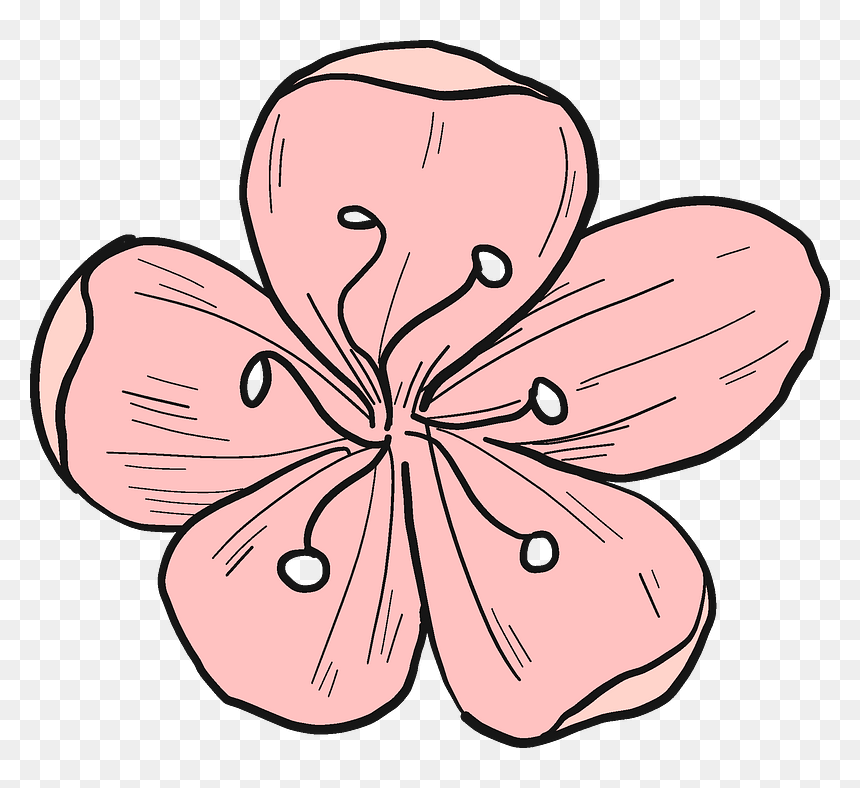 Cherry Flower Clipart, HD Png Download - cherry blossom emoji png