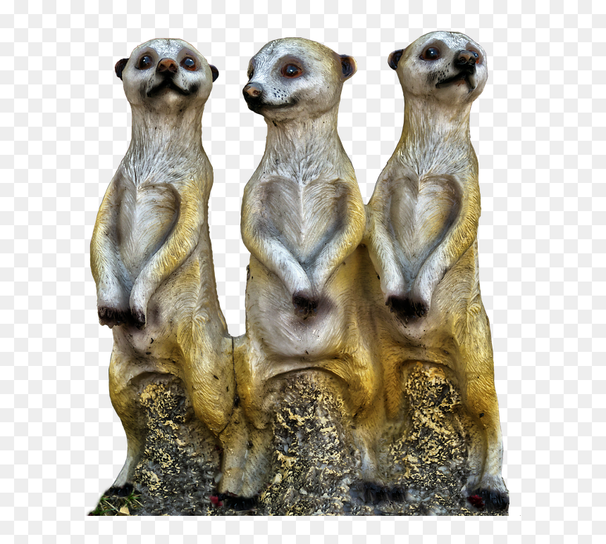 Meerkat Ceramic, HD Png Download - meerkat png