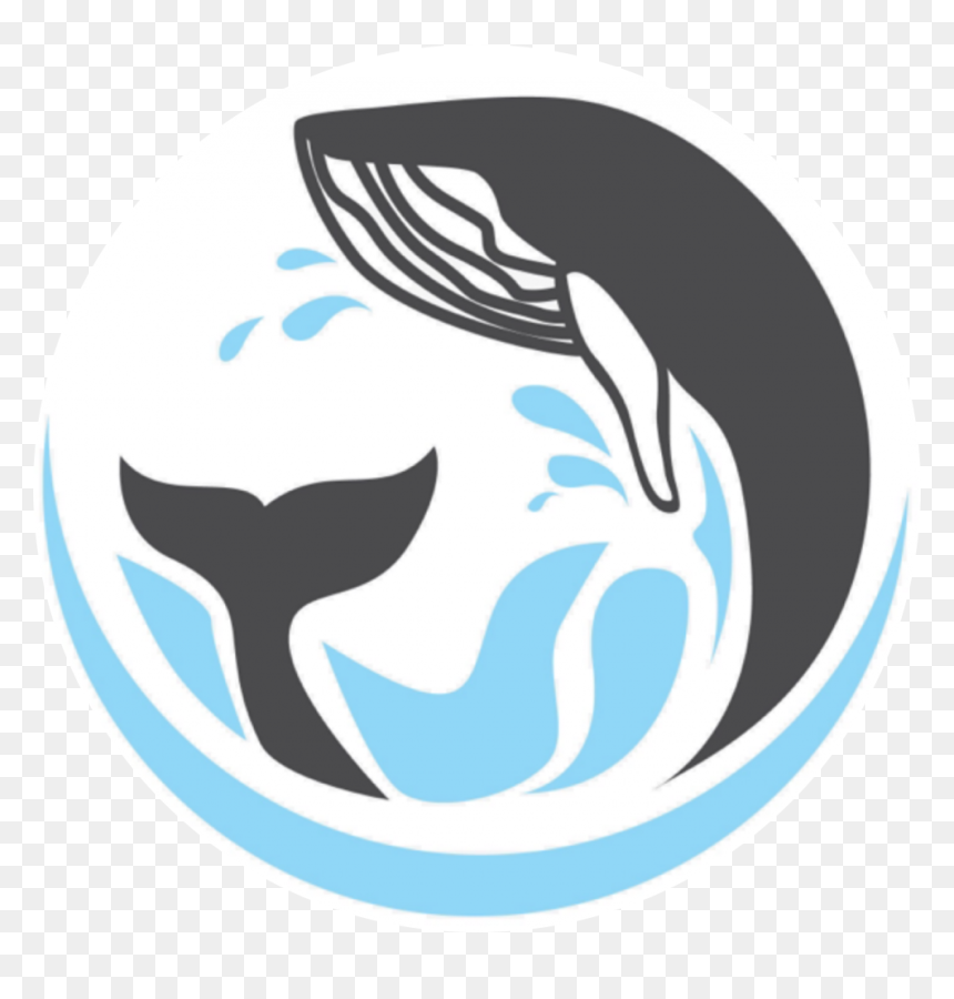 Whale Dream - Emblem, HD Png Download - sperm whale png