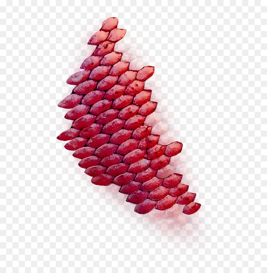 Bead, HD Png Download - fish scales png