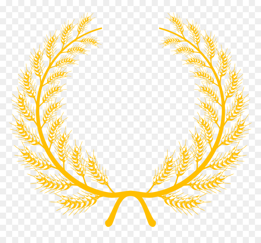 Vector Wheat Flower Png, Transparent Png - grains png
