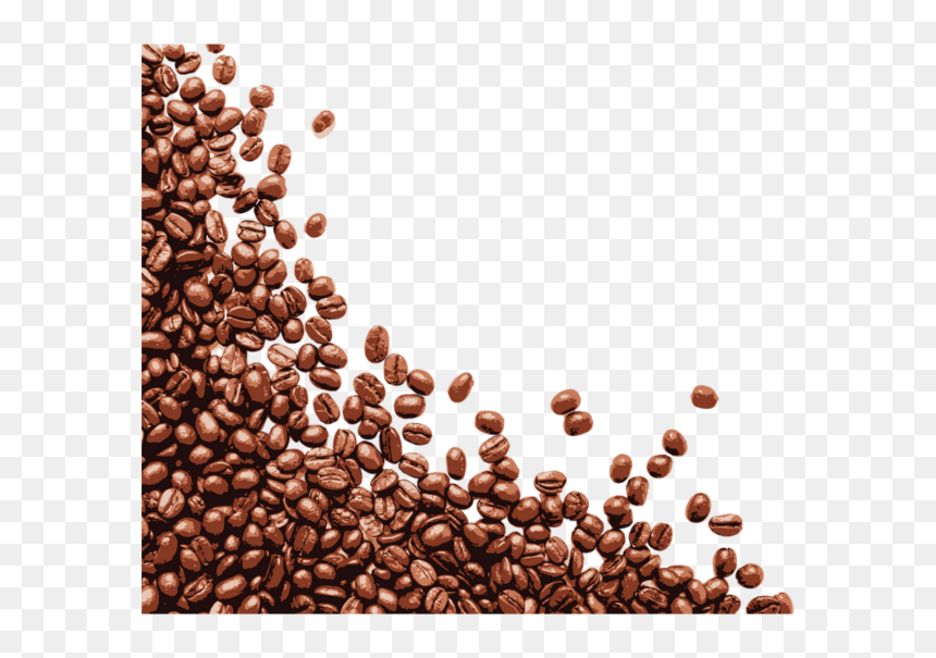 Grains De Café - Grain De Café Png, Transparent Png - grains png