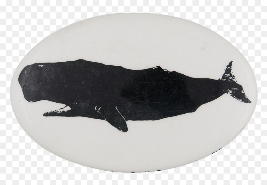 Greenpeace Sperm Whale Cause Button Museum - Manatee, HD Png Download - sperm whale png