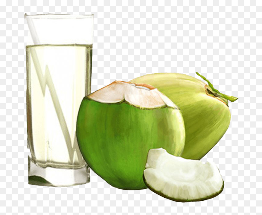 Green Coconut Png Pic - Coconut Water Images Download, Transparent Png - coconut drink png