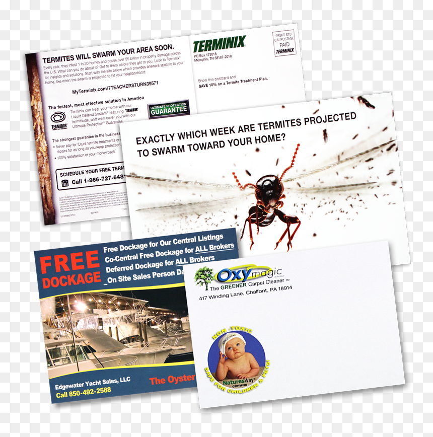 Flyer, HD Png Download - postcard stamp png