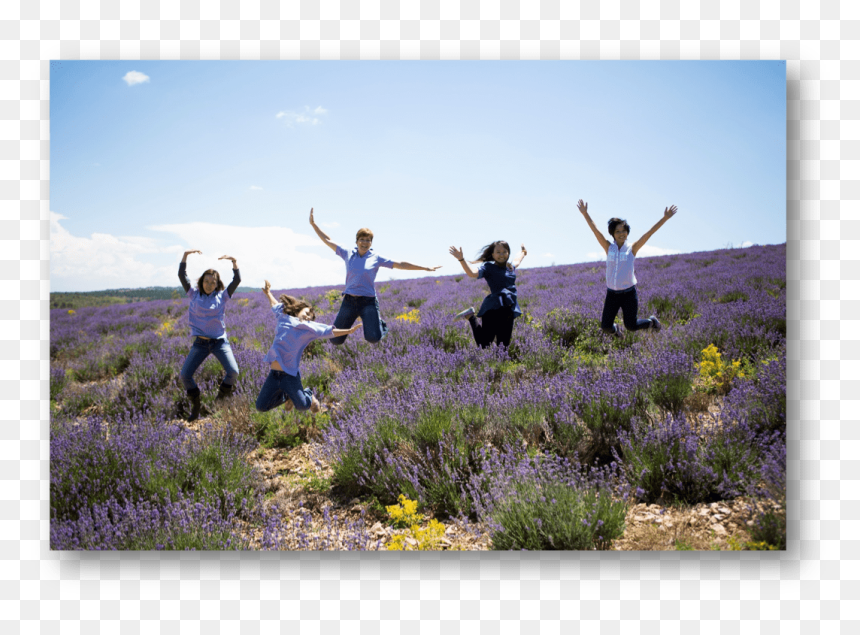 Young Living- Essential Oils 101 Basics - Young Living Lifestyle, HD Png Download - essential oils png