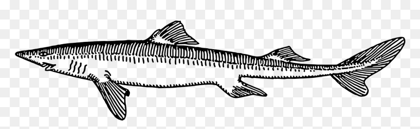Dog Fish Black And White, HD Png Download - fish scales png