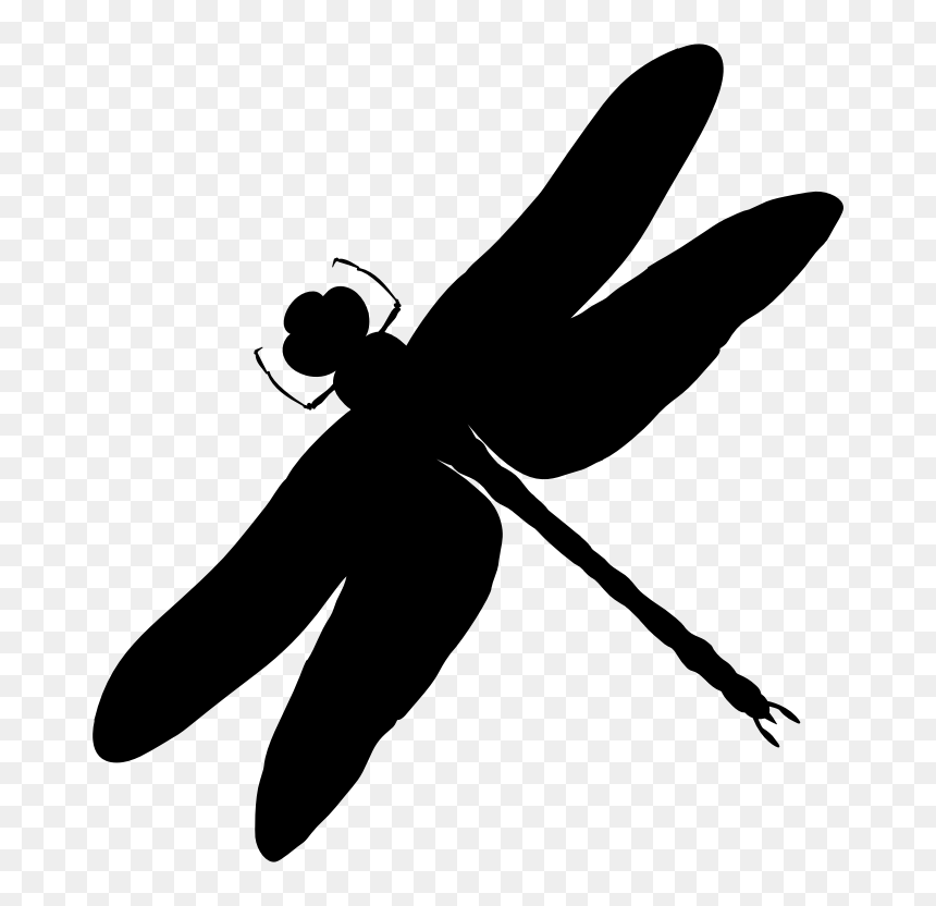Intricate Dragonfly Silhouette - Dragonfly Clipart Transparent, HD Png Download - dragonfly silhouette png