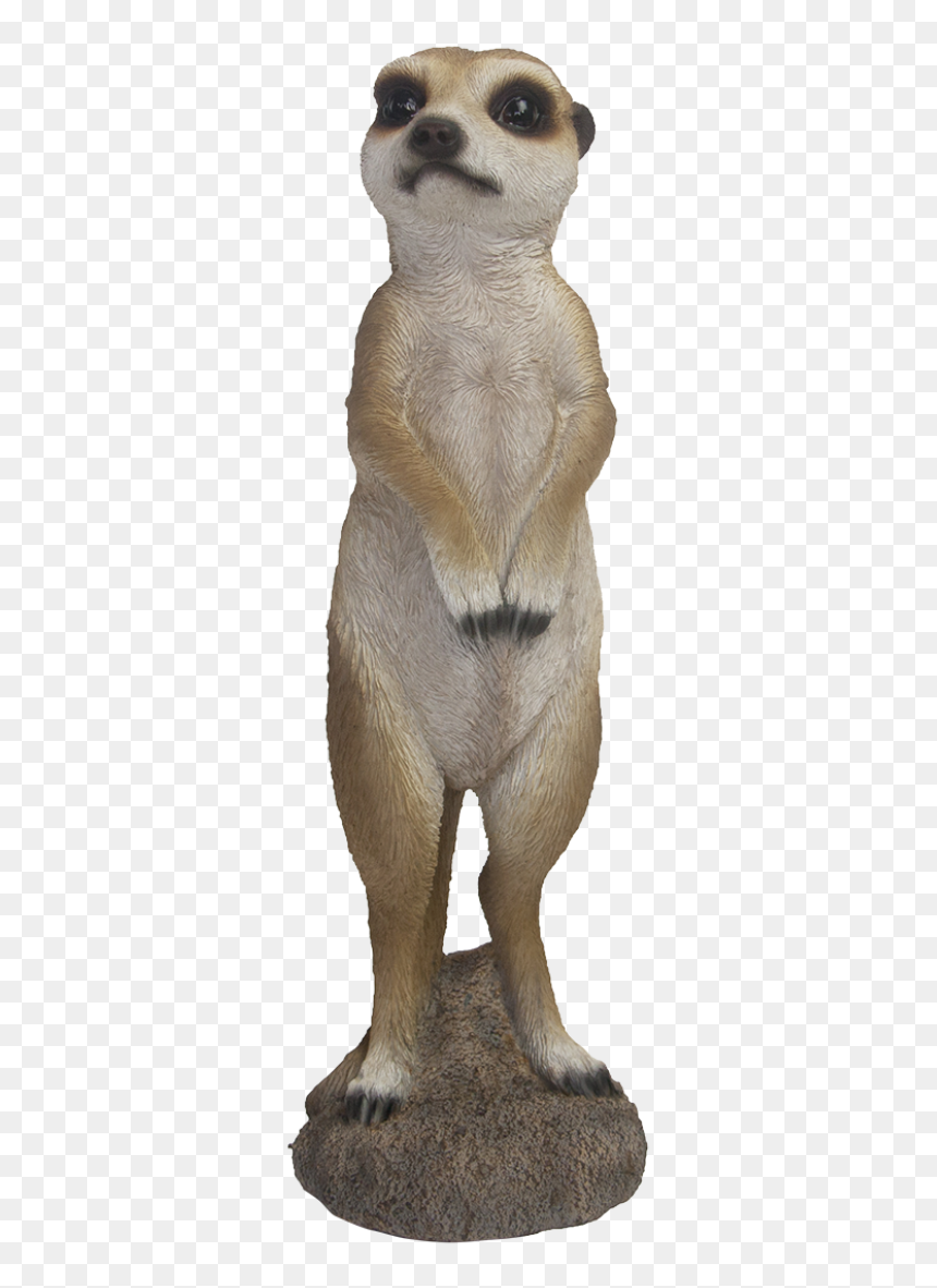 Meerkat, HD Png Download - meerkat png