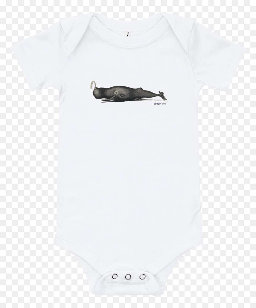Killer Whale, HD Png Download - sperm whale png