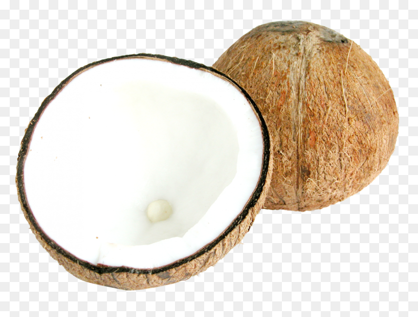 Two Half Coconut Png Image - Coconuts Png, Transparent Png - coconut drink png