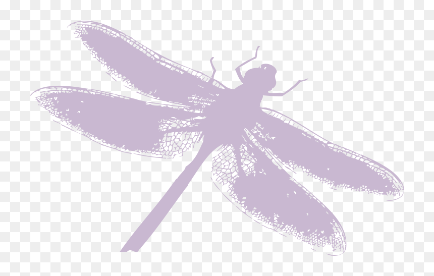 Dragonfly Silhouette Png Download - Dragonfly, Transparent Png - dragonfly silhouette png
