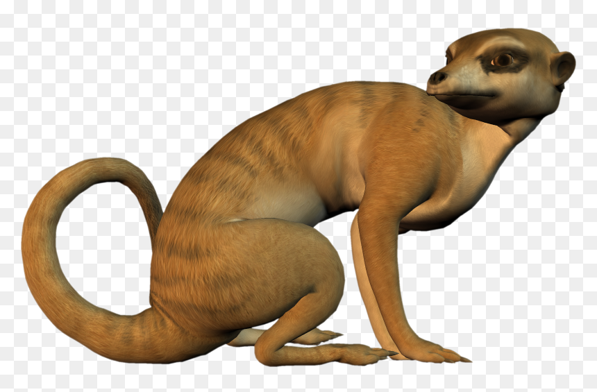 Meerkat Clip Art, HD Png Download - meerkat png