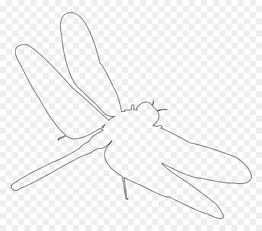 Net-winged Insects, HD Png Download - dragonfly silhouette png