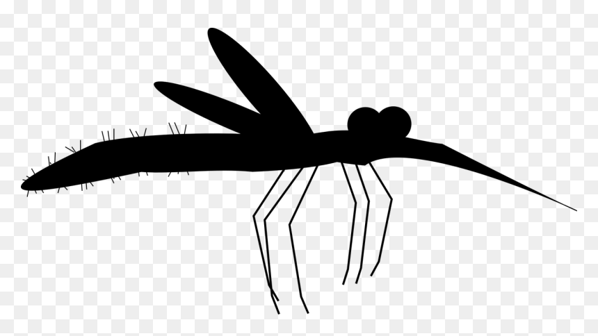 Insect Black & White - Membrane-winged Insect, HD Png Download - dragonfly silhouette png
