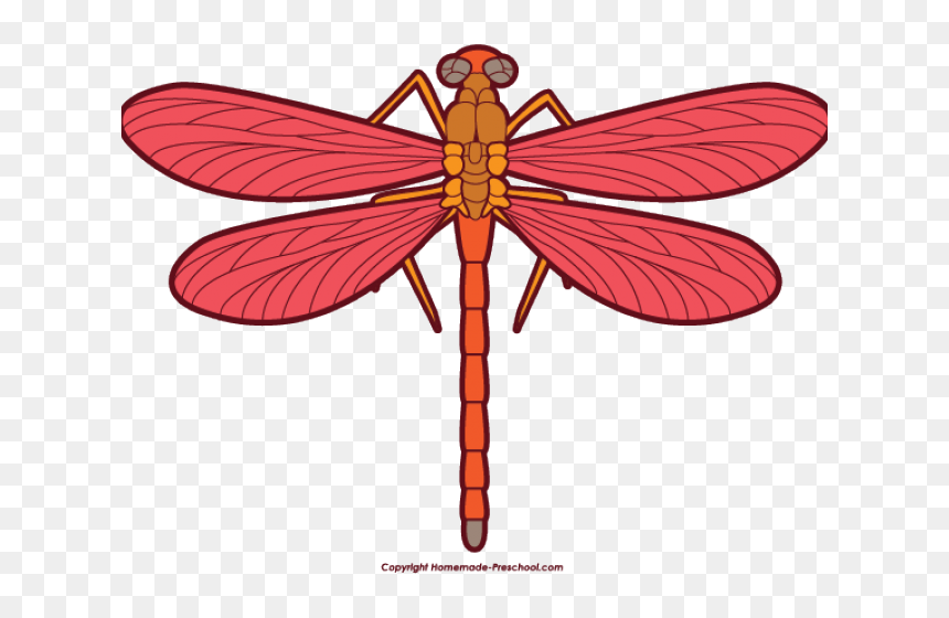 Dragonfly Clipart Small Animal - Dragonfly Cliparts, HD Png Download - dragonfly silhouette png