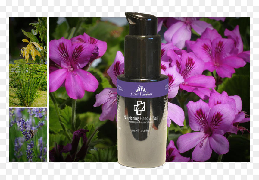 Personal Care, HD Png Download - essential oils png