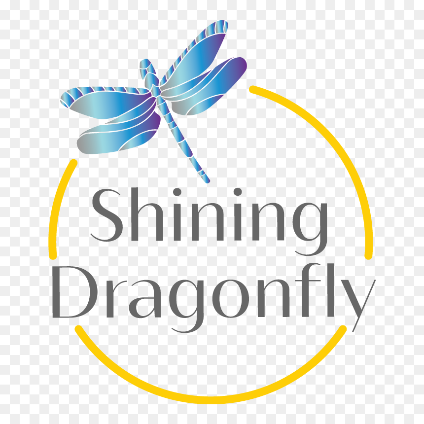 Net-winged Insects, HD Png Download - dragonfly silhouette png